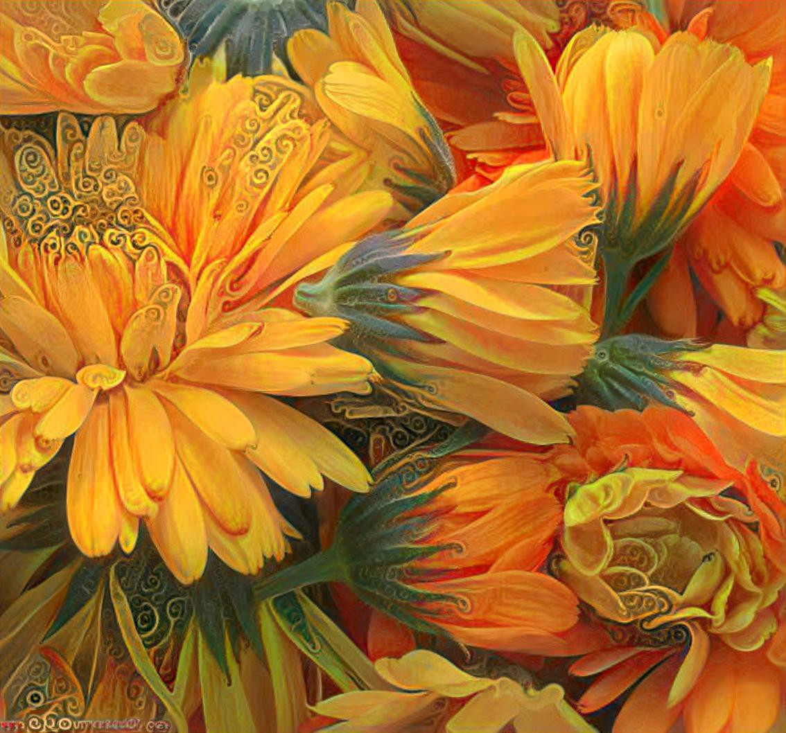 Orange Flowers