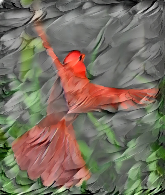 Cardinal in flight