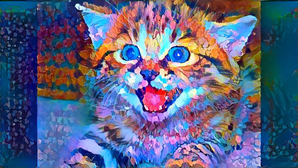 Colorful Kitten