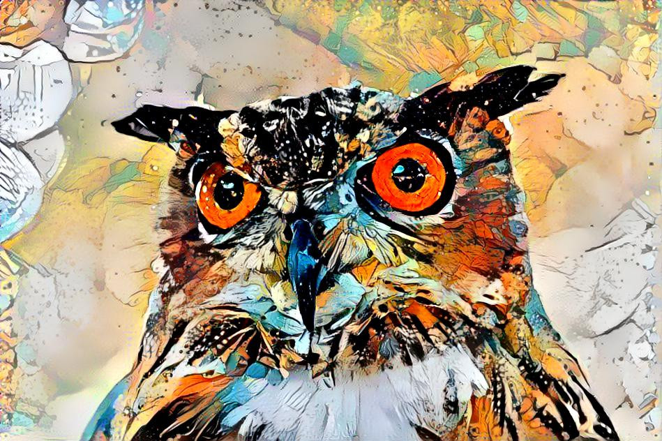 Owl