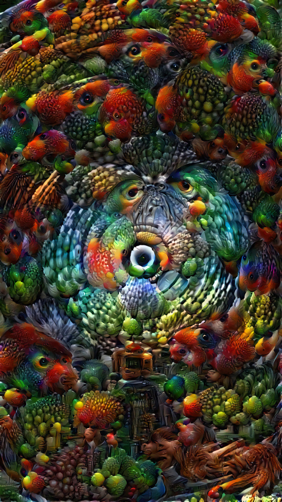 Wormhole of Fruit and Birds