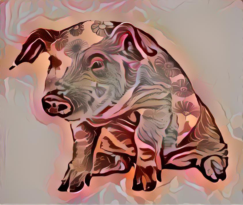 Susannes filter for my pig !