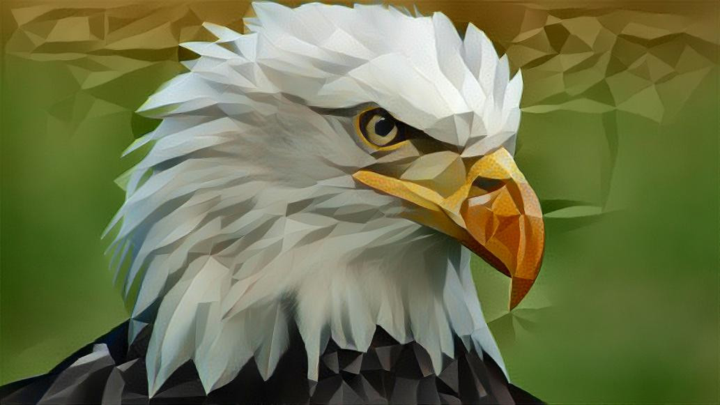 Deep Dream: Bald Eagle (Ver.4)