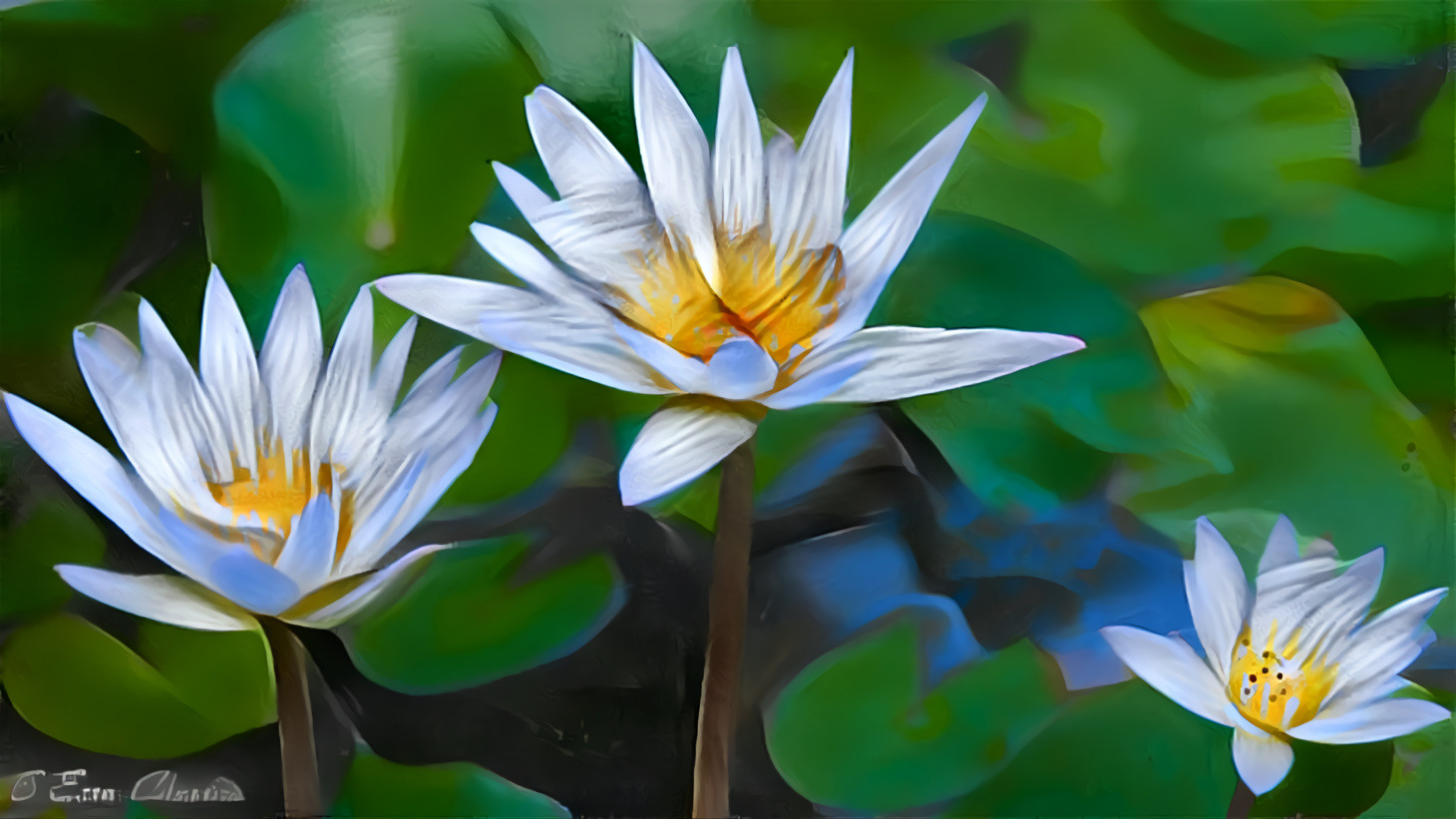 Blue Lotus 1