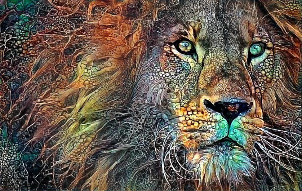 lion