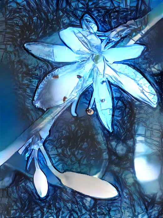 Die Blüte einer Grünlilie - The Flower of a green lily