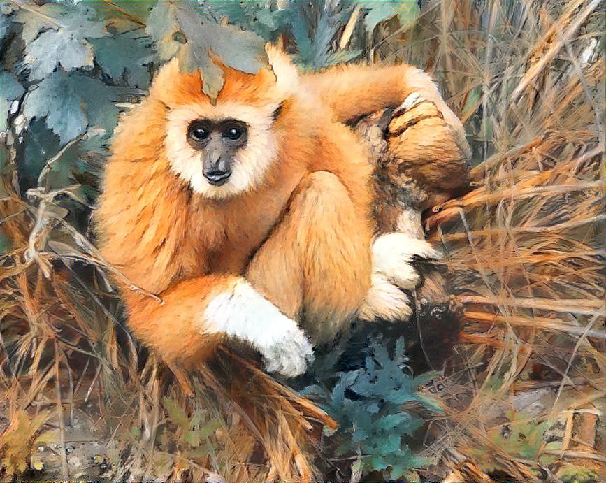 Gibbon