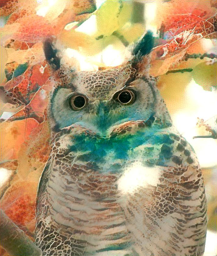 Owl - v3