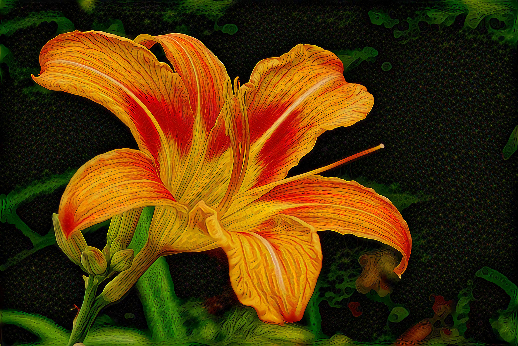 Day Lily yellow red