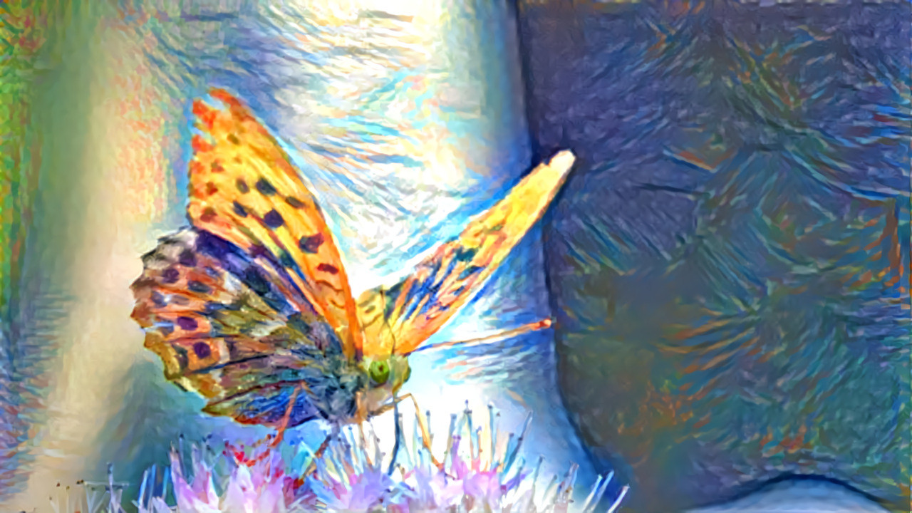 Watch this butterfly flap it's wings! https://www.instagram.com/p/B6sW_5fnrYD/