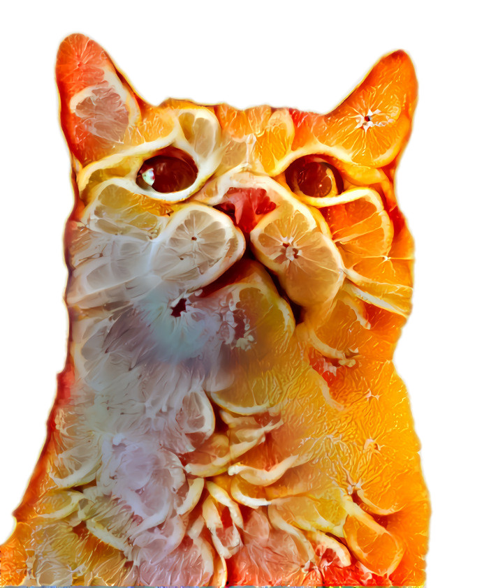 Orange Kitty!