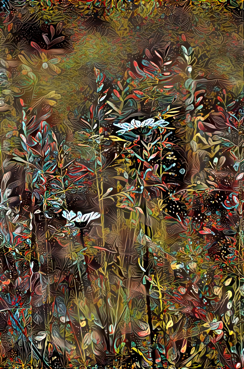 Grasses and Daisies