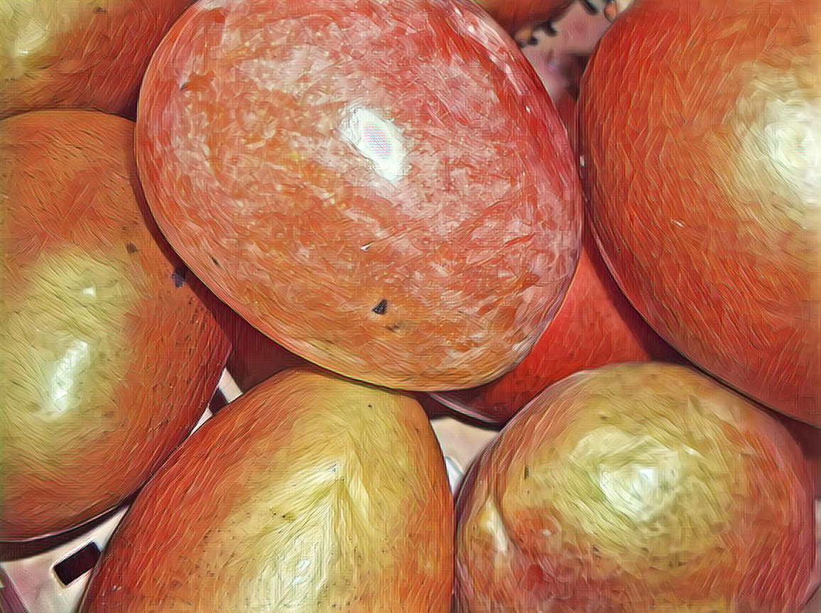 Mangifera - Mangoes #4