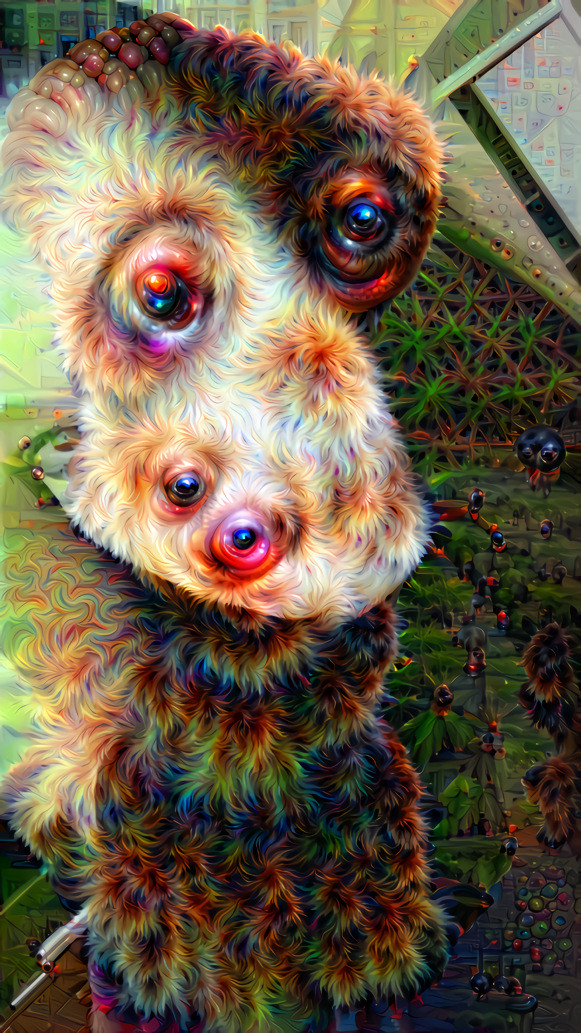 Deep dream nightmare .  lovely