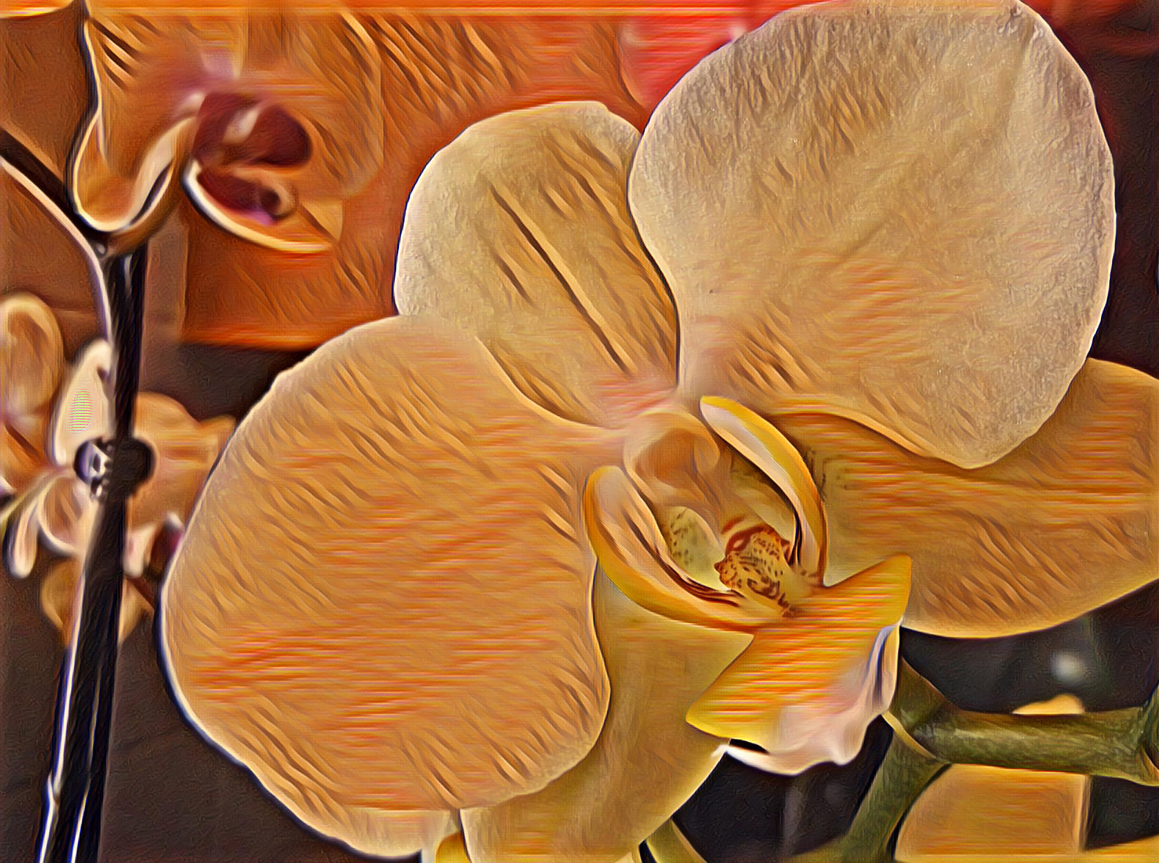 Orchid #18