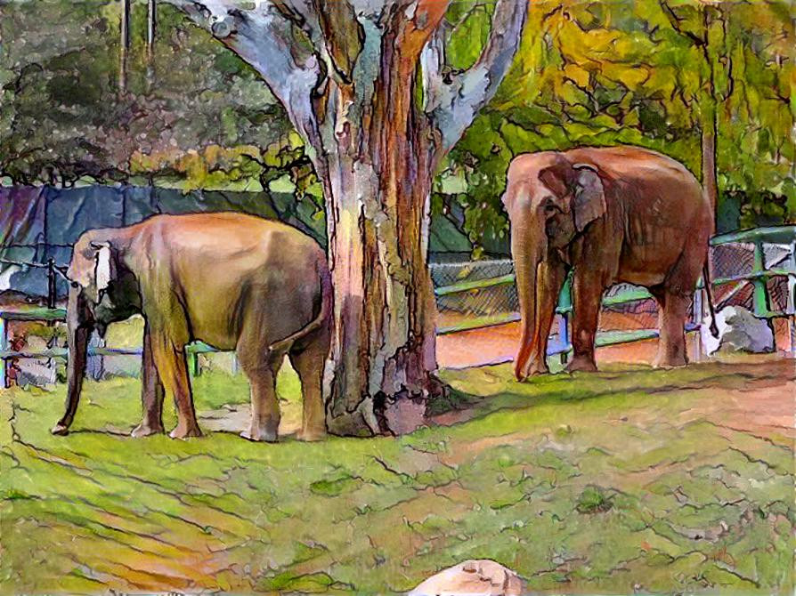 ELEPHANTS