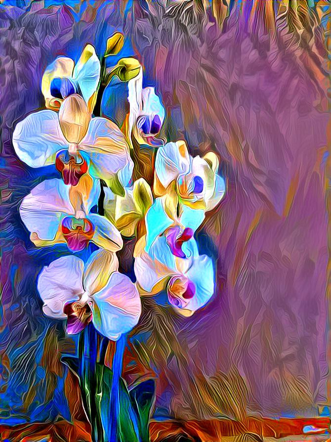 Orchids 