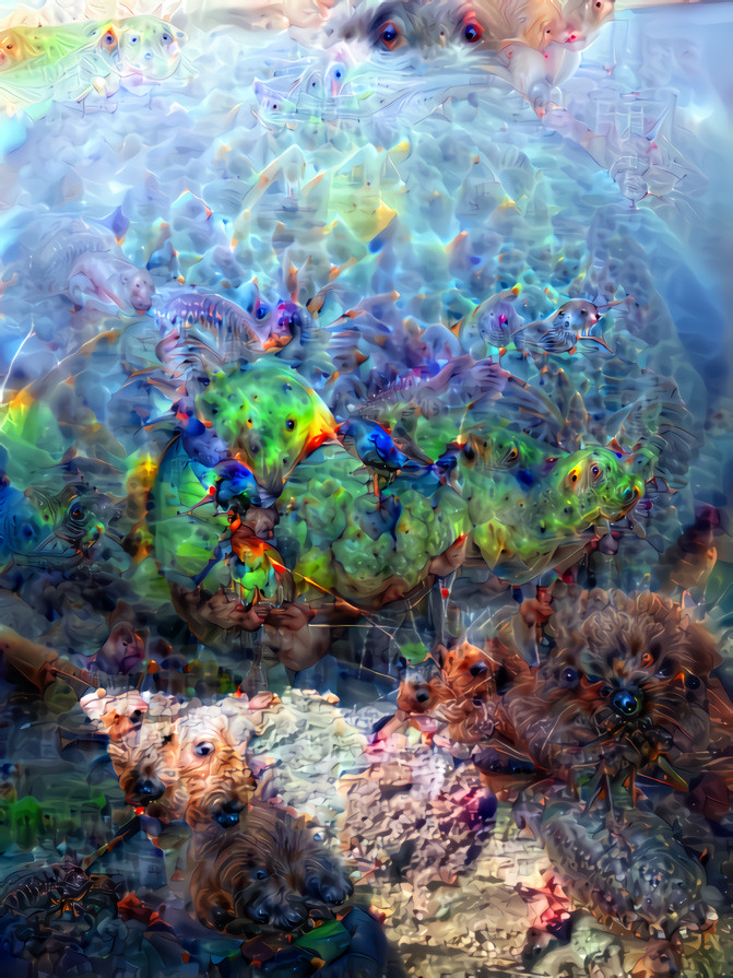 deep dream