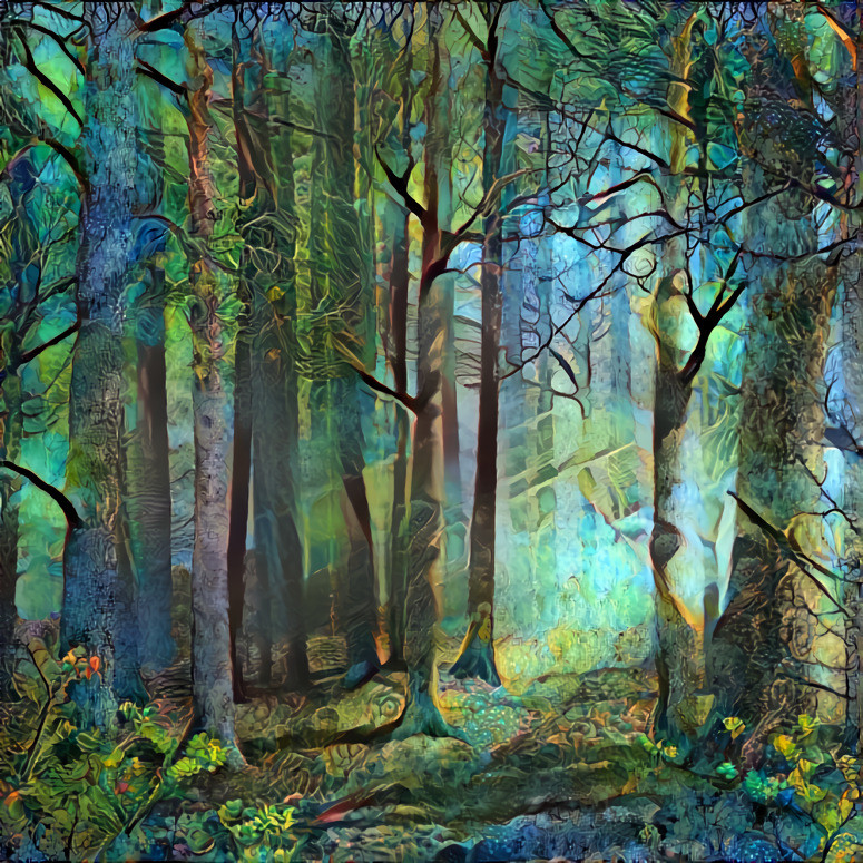 Mystic Forest