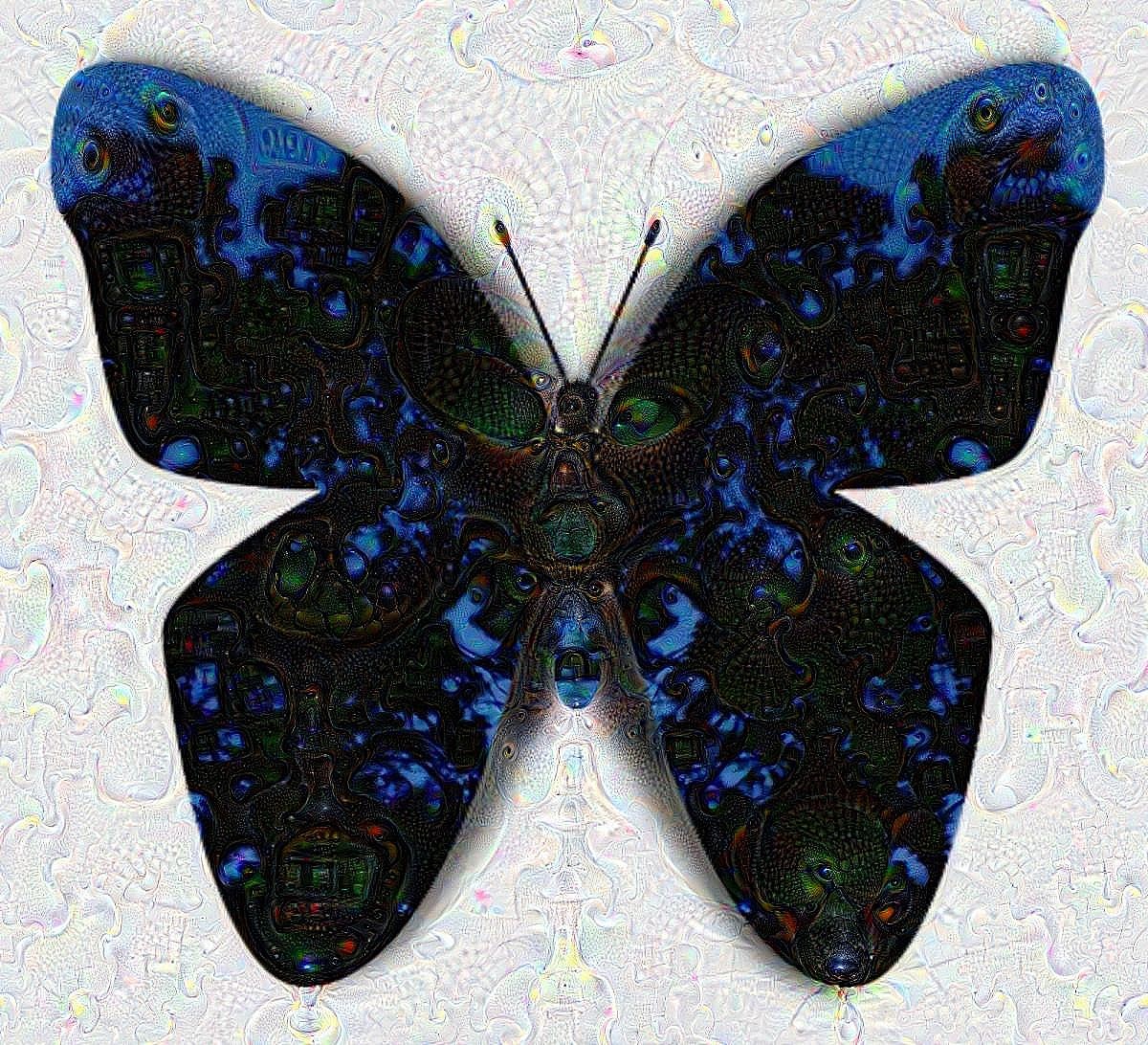 Dark Blue Butterfly Dream