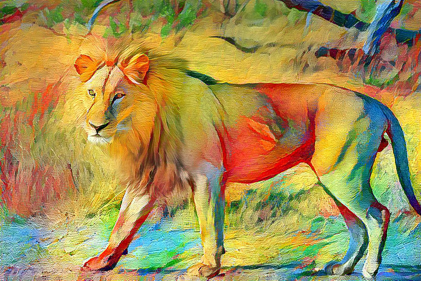 African Lion