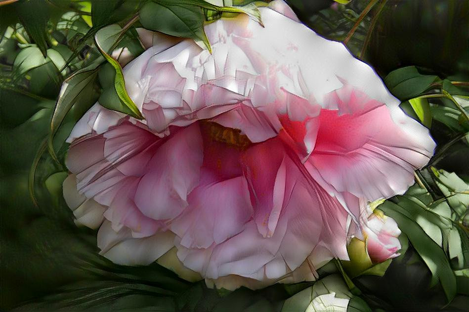 Pink Peony Petticoat