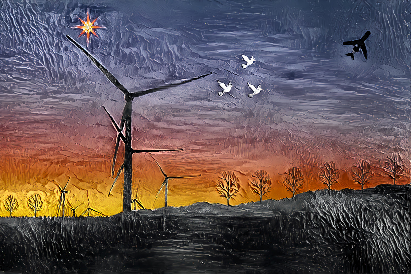 'The Wind Farm'