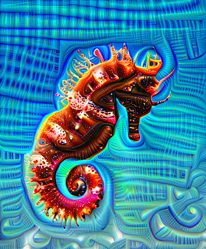 Seahorse