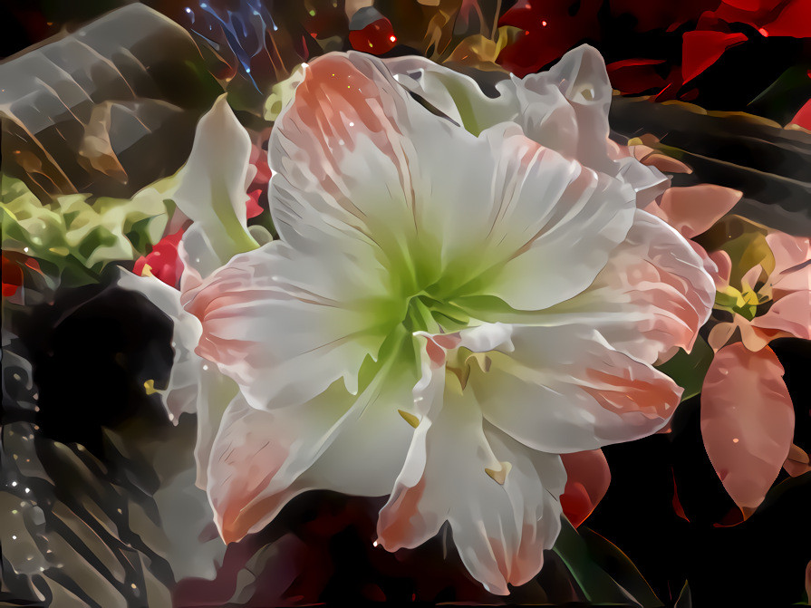 Amaryllis #2 - Krone Conservatory