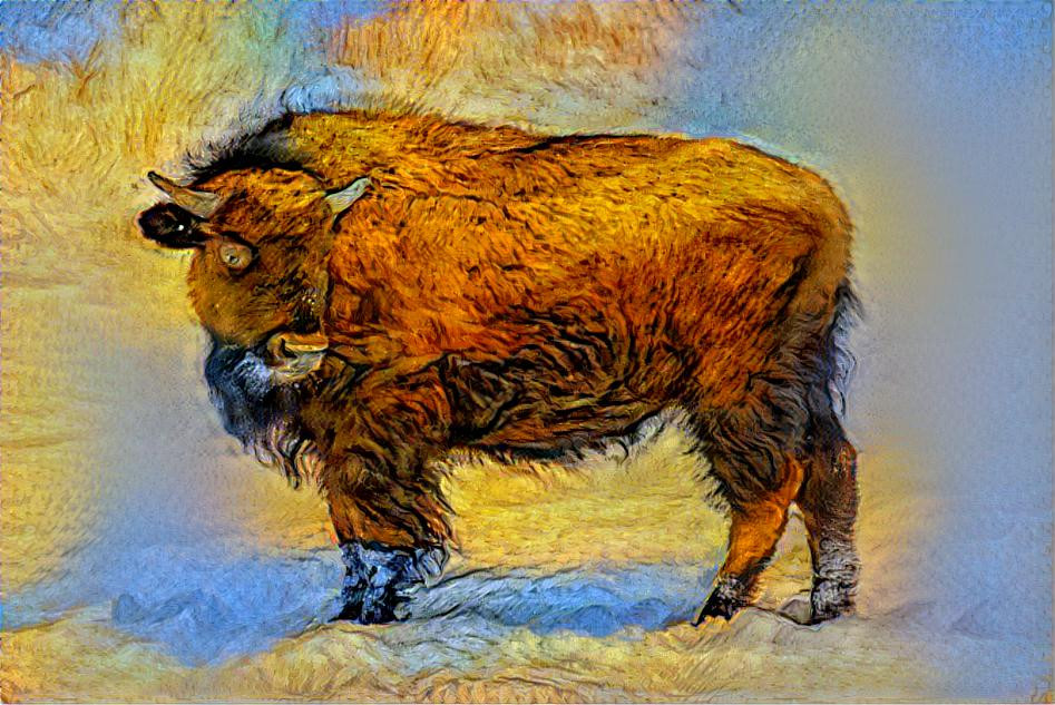 Buffalo