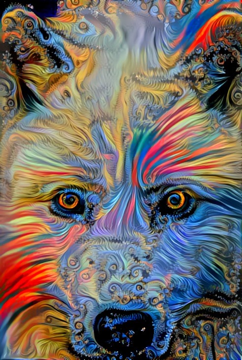 Deep Dream: Arctic Wolf