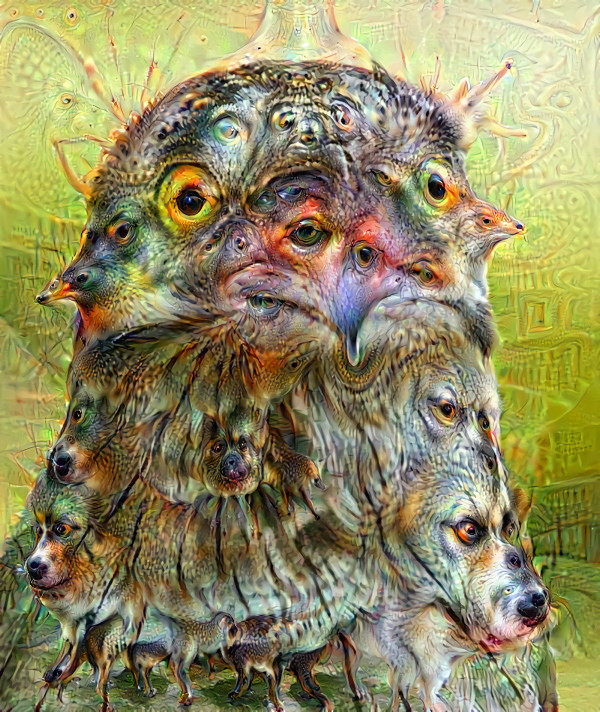 Pootoo Bird (Deep Dream)