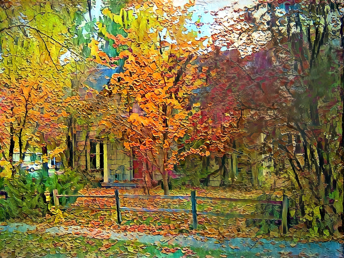 Vivid Autumn