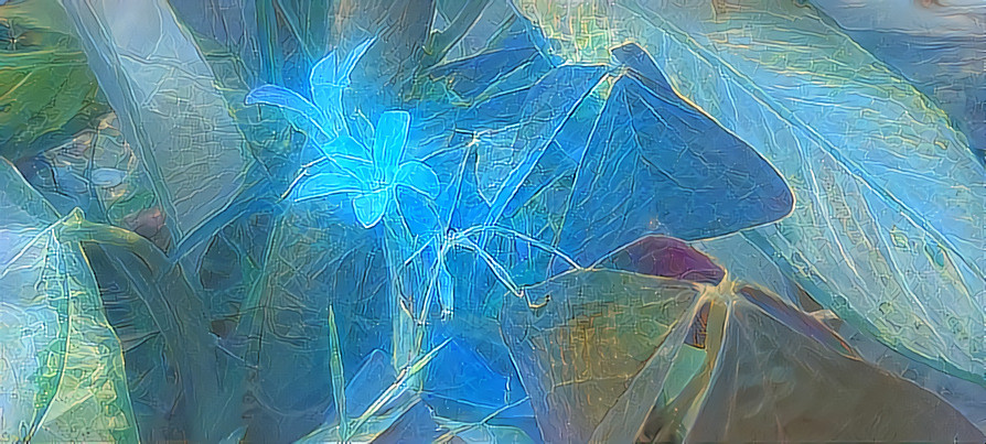 Blue Flower of healing