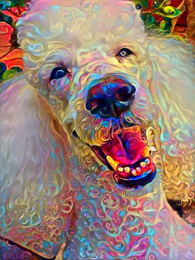 oodlepoodle