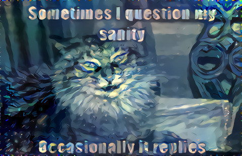 Question My Sanity 001