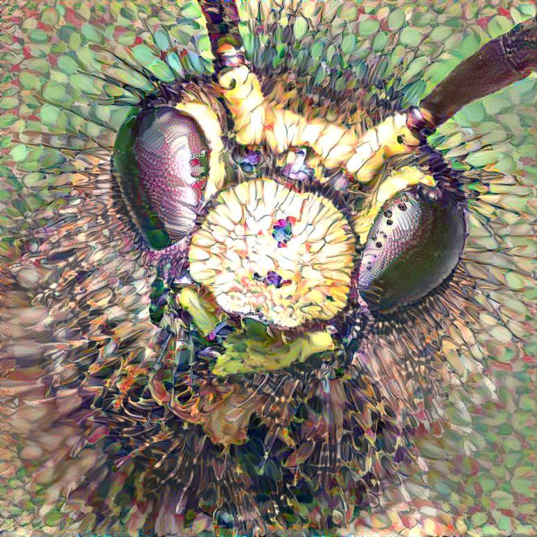 DDG Challenge Mandala Challenge 03 Deep Dream Gene