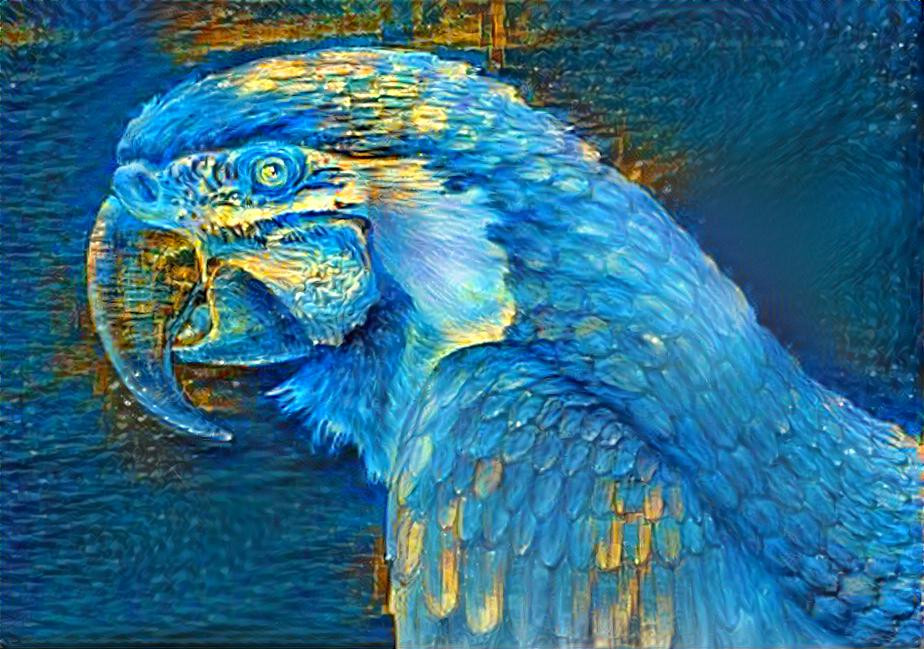  Blue parrot