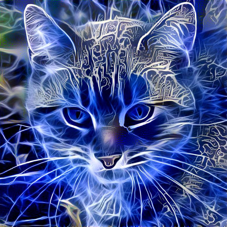 Style: Picture by geralt (Pixabay) ; Photo: StyleGAN2 generated cat