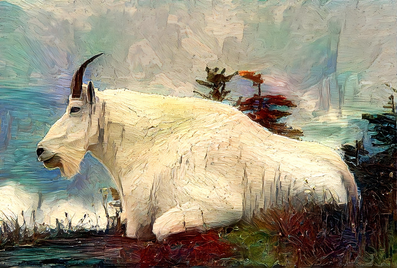 Mountain Goat 