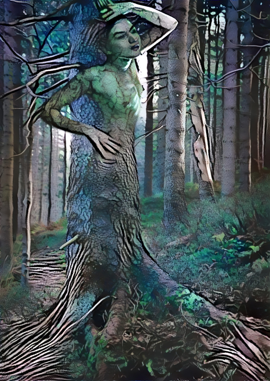 Dryad