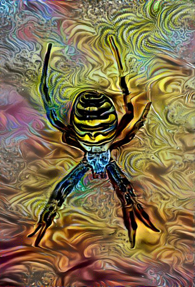 Spinne