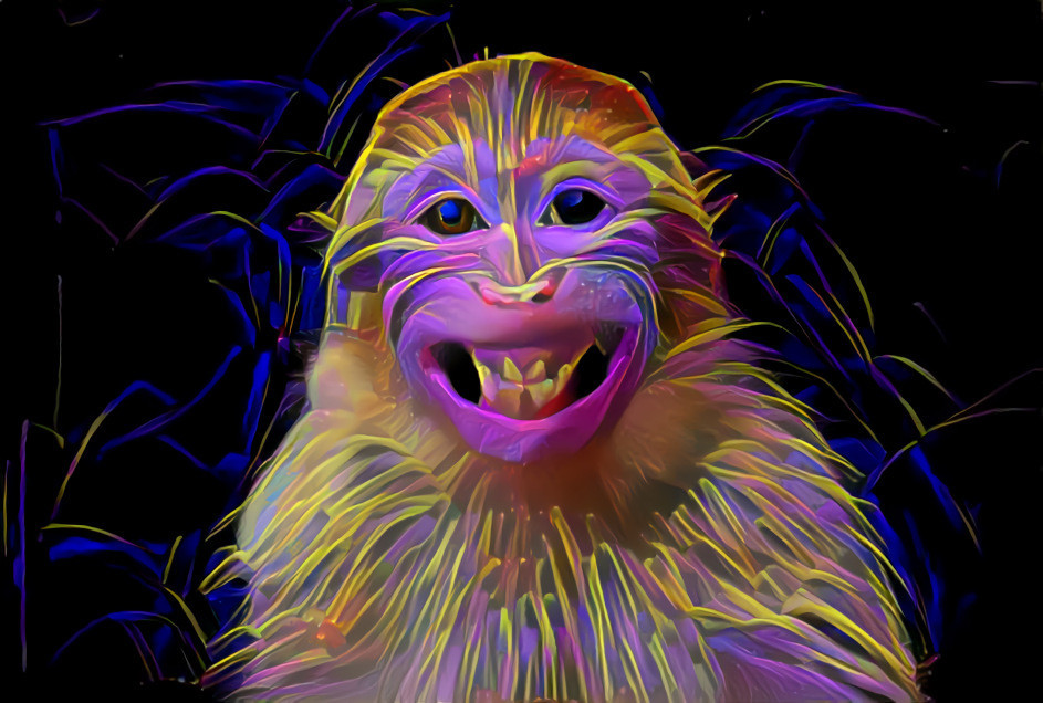 Neon Monkey