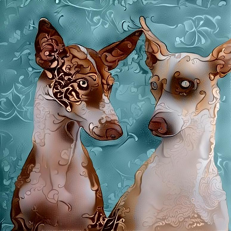 podenco