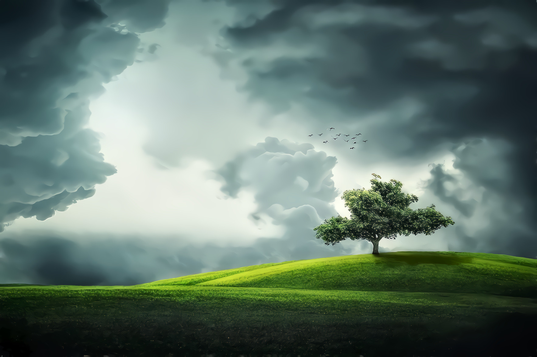 Tree, Clouds, Meadow, Birds