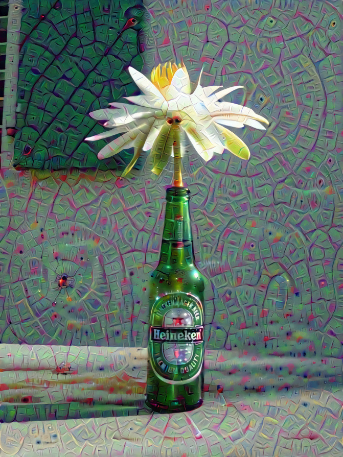 Water Lily in Heineken Bottle + Deep Dream x 2