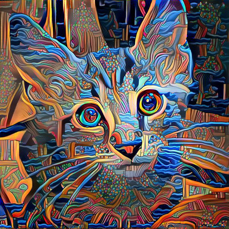 Colorful Cat