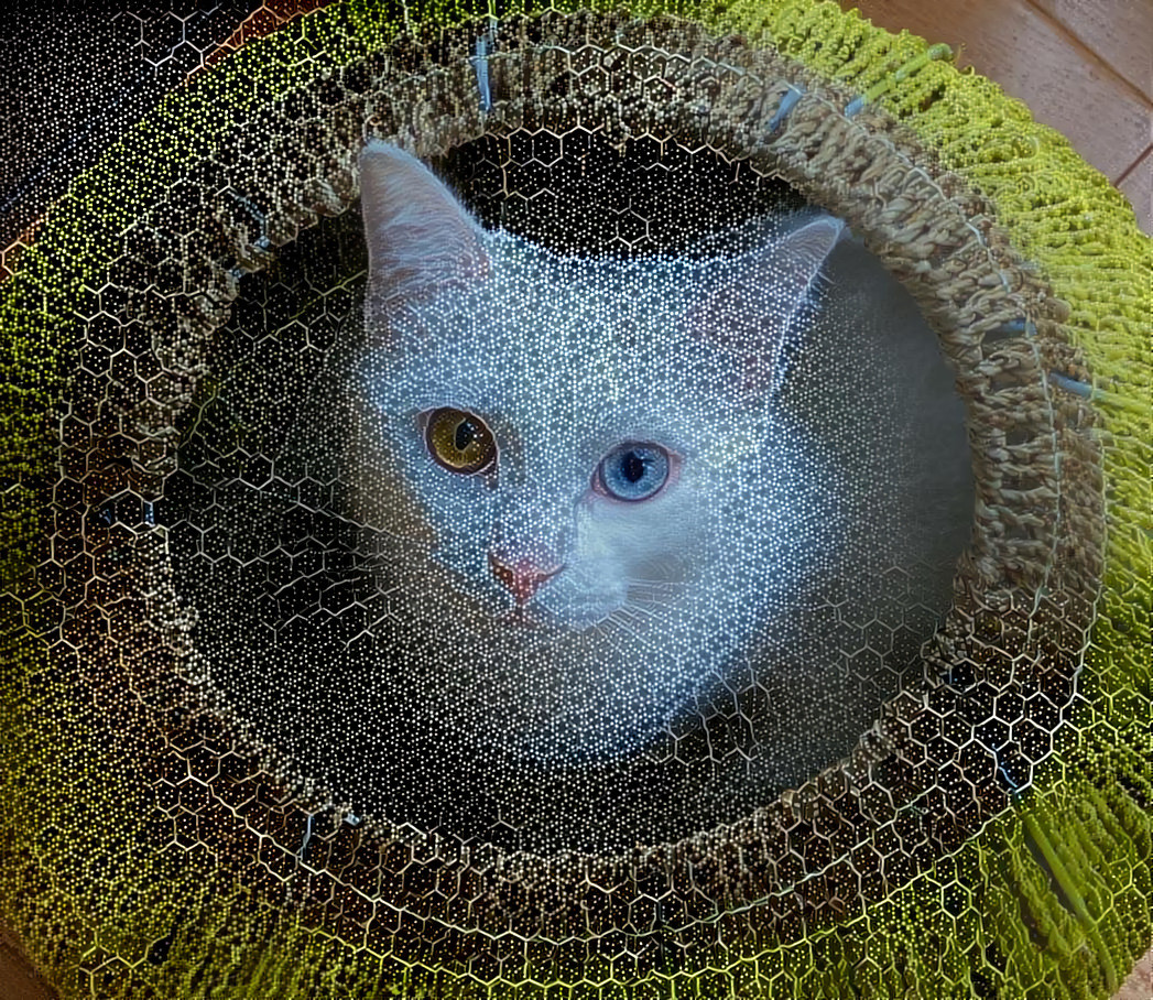 Geometric Kitty