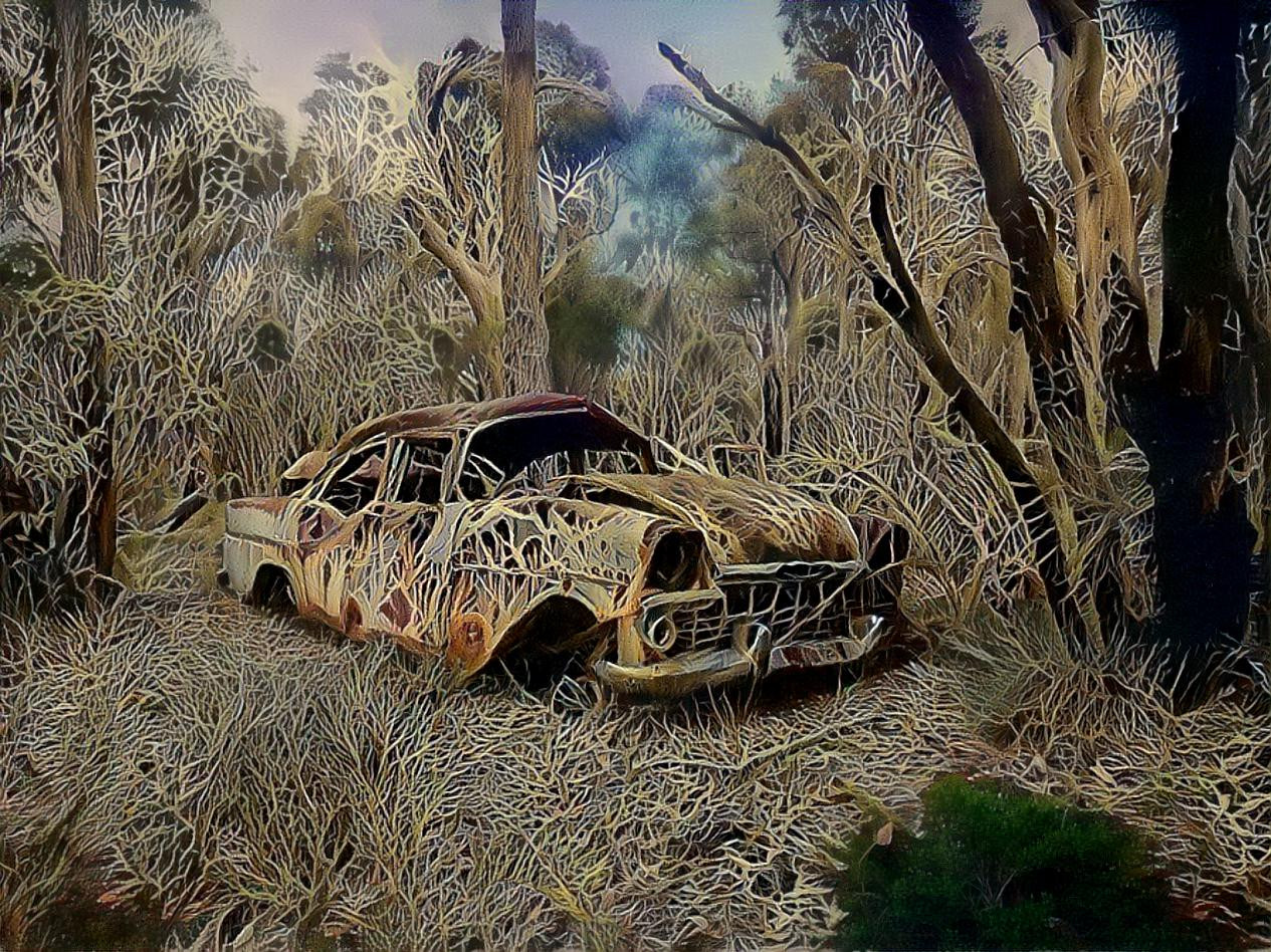 EK Holden found in the bush