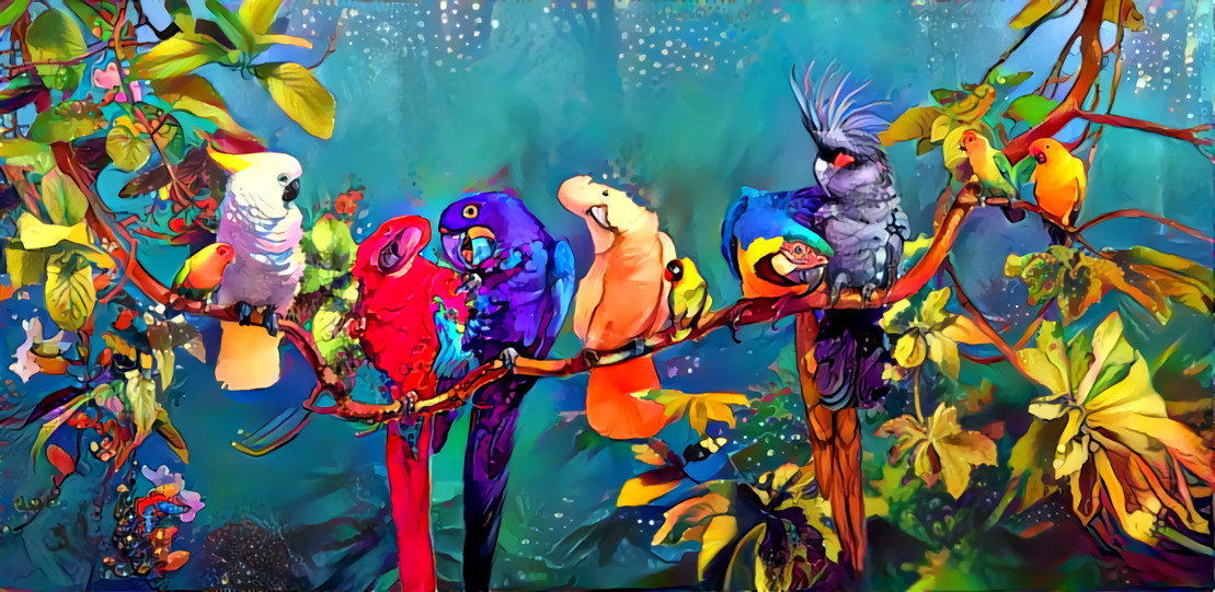 Parrots